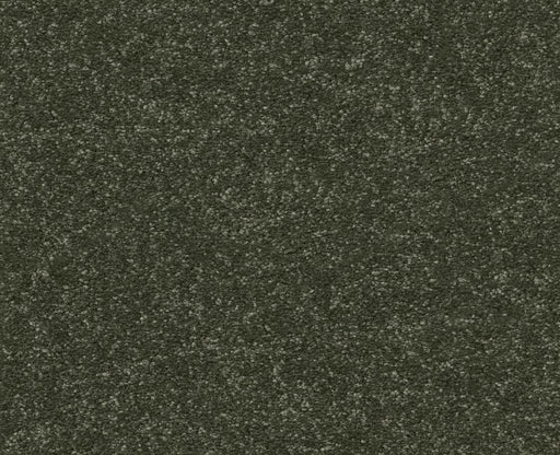 Off The Leash II 12 Rerooted Nature 00300