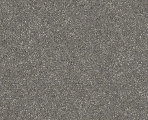 Off The Leash III 12 Shy Sage 00352