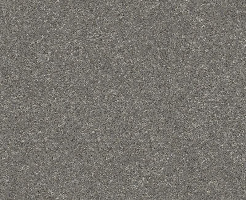 Off The Leash I 15 Shy Sage 00352