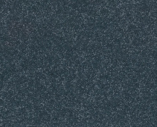 Off The Leash I 15 Refined 00402