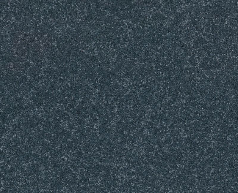 Off The Leash II 15 Refined 00402