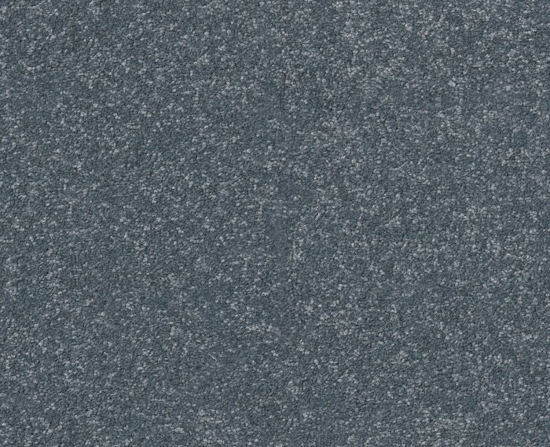 Off The Leash I 15 Reflection 00454