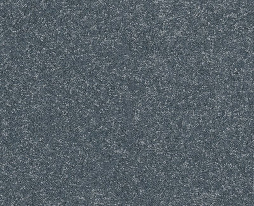 Off The Leash II 12 Reflection 00454