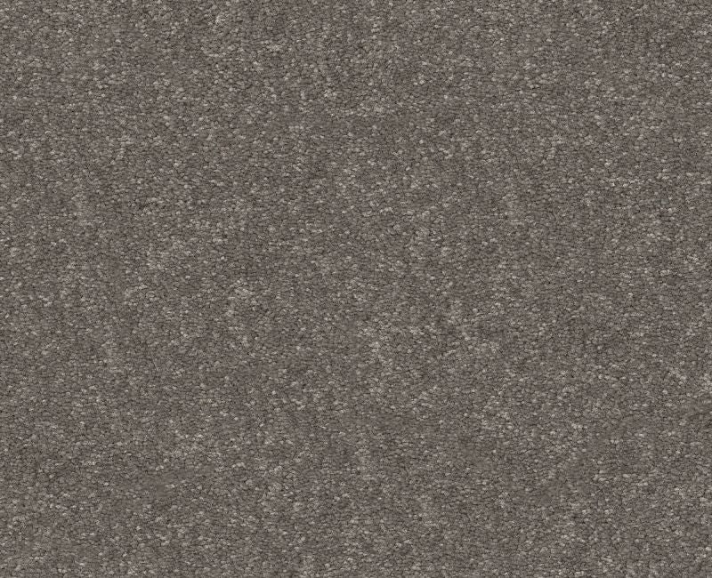 Off The Leash I 15 Ashes 00501