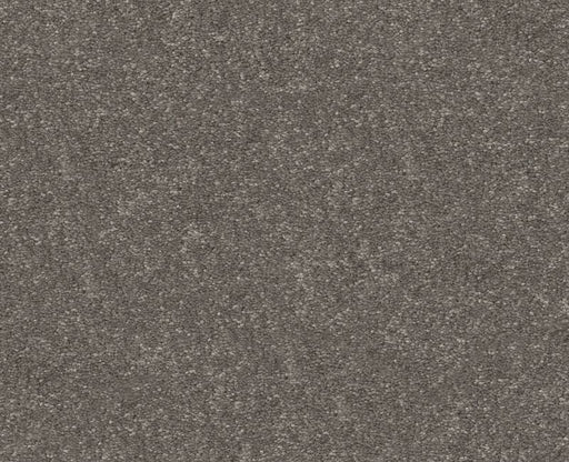 Off The Leash II 12 Ashes 00501