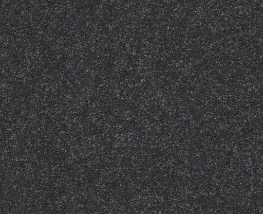 Off The Leash I 12 Shadow 00502