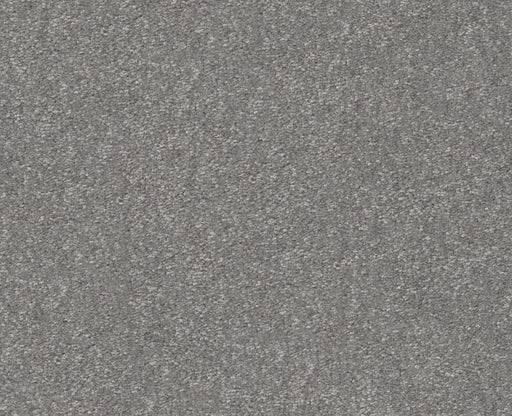 Off The Leash II 15 Vintage 00509