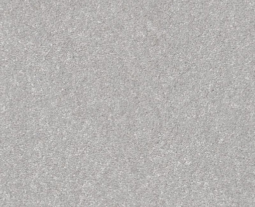 Off The Leash I 15 Lilac Gray 00550