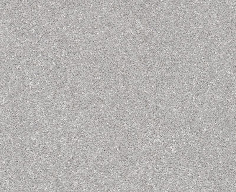 Off The Leash II 15 Lilac Gray 00550