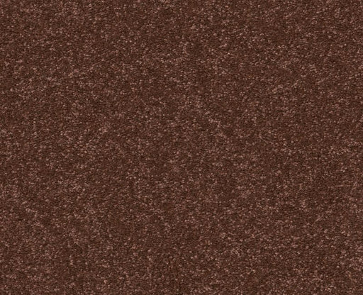 Off The Leash I 12 Orange Oxide 00651