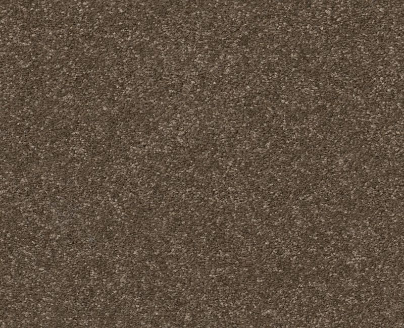 Off The Leash I 15 Mission Ridge 00705