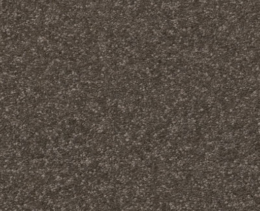 Off The Leash I 12 Urban Rustic 00708