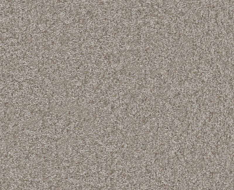 Shaw Big News II 00111 Chic Greige Carpet — Stone & Tile Shoppe, Inc.