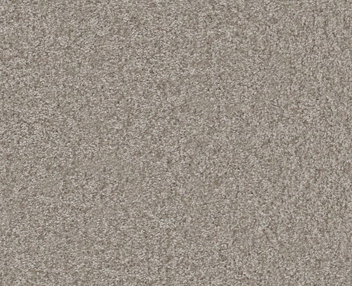 Big News II Chic Greige 00111