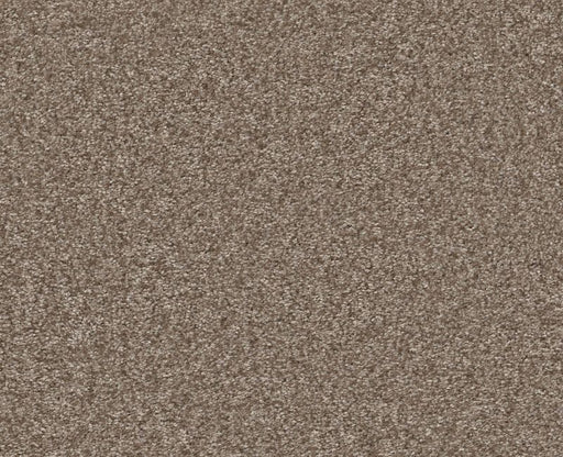 Big News II Cameo 00113