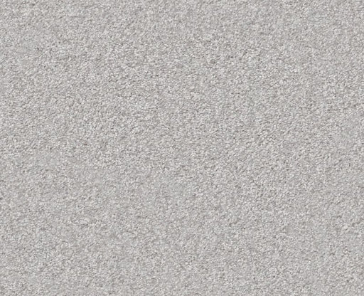 Big News III Lilac Gray 00550