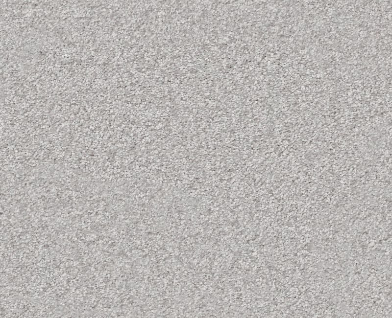 Big News I Lilac Gray 00550