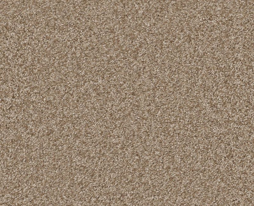 Big News II Worn Path 00700