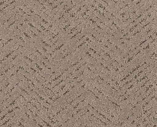 Showing Out Cameo 00113