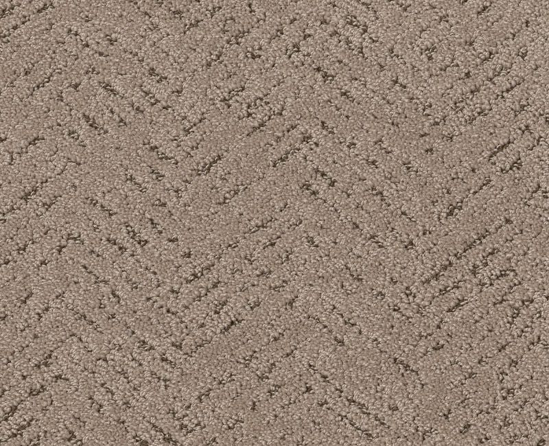 Showing Out Cameo 00113