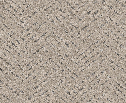 Showing Out Warm Light 00116