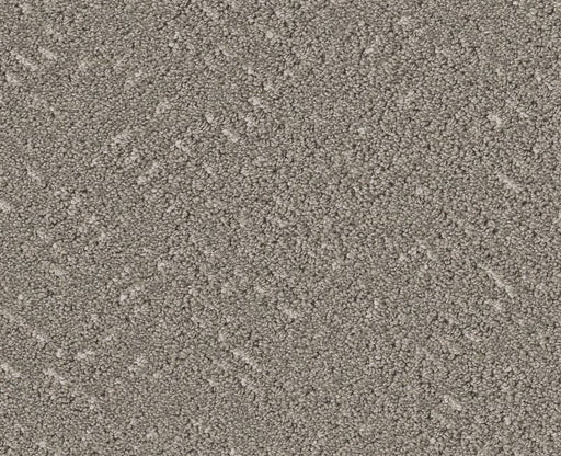 Showing Out Ashes 00501