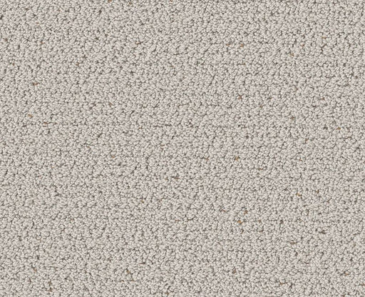 Without A Trace Cashmere 00104