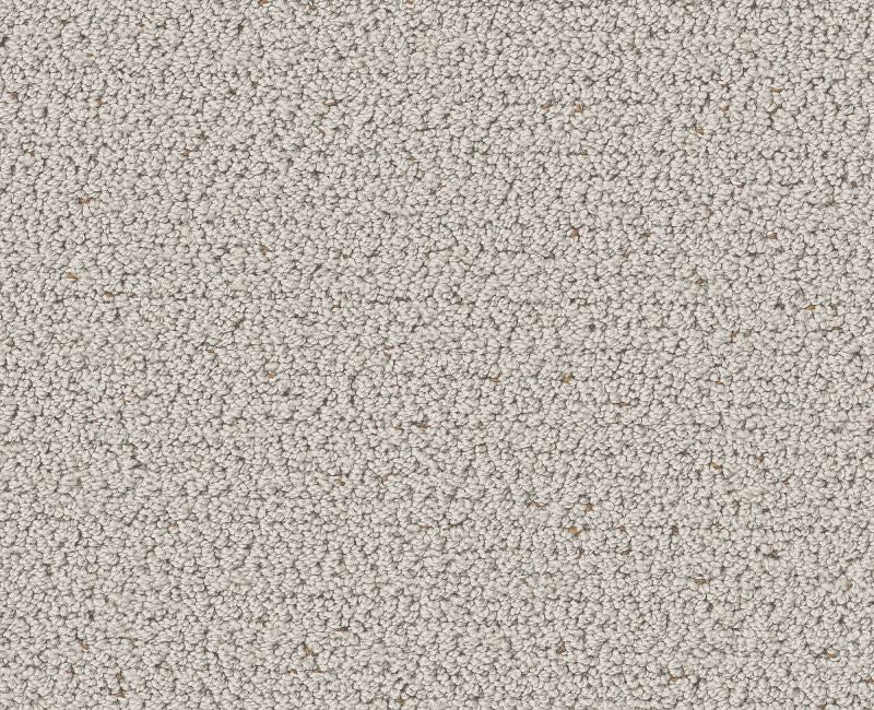 Without A Trace Cashmere 00104