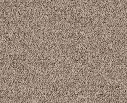 Without A Trace Cameo 00113