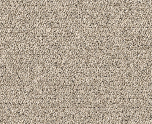 Without A Trace Warm Light 00116