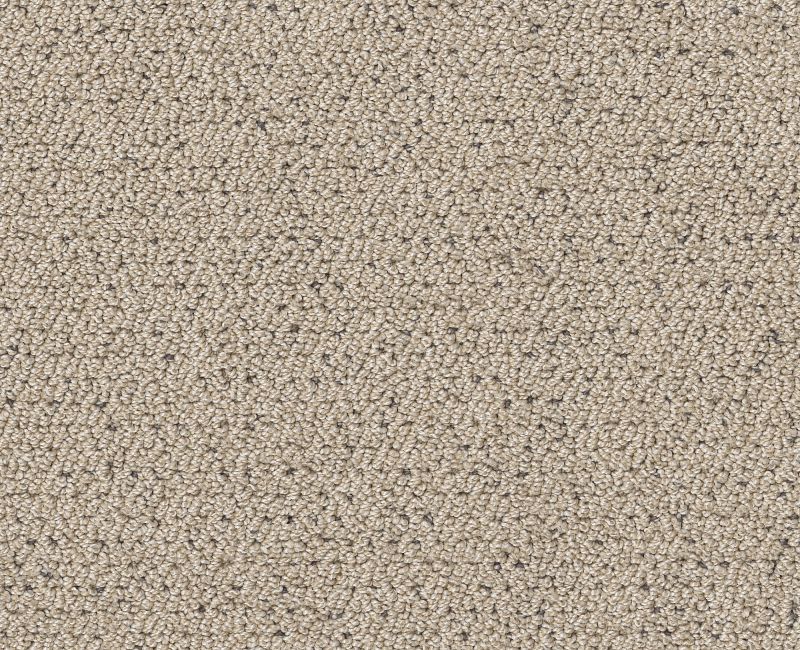 Without A Trace Warm Light 00116