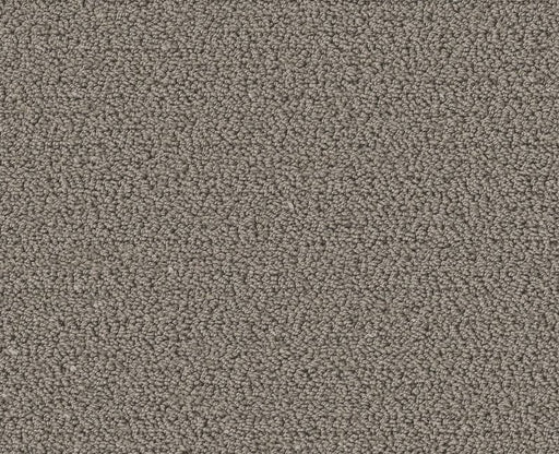 Without A Trace Ashes 00501