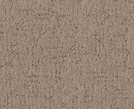 Running Wild Cameo 00113