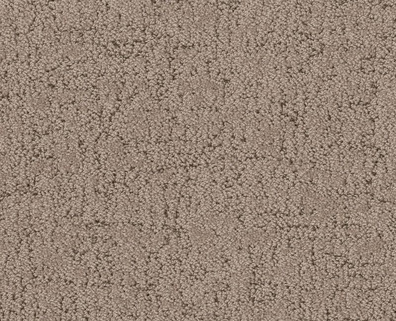 Running Wild Cameo 00113