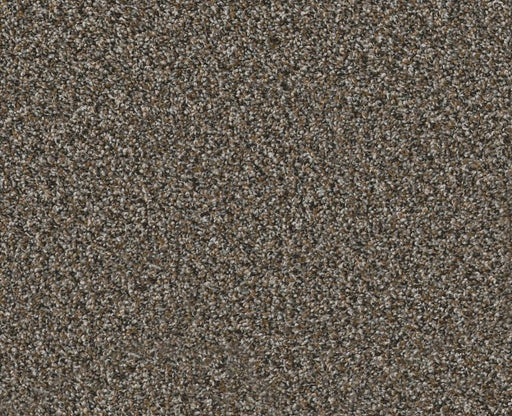 Artsy I Cafe Noir 00706