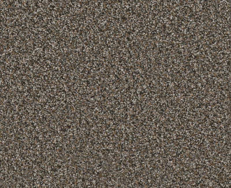 Artsy I Cafe Noir 00706