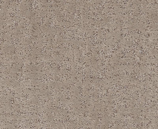 Going Home Chic Greige 00111