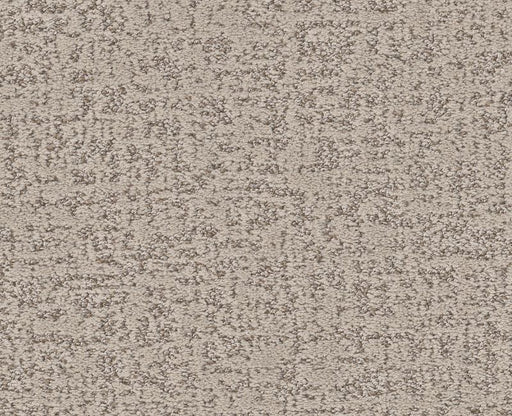 Going Home Soft Sense 00112