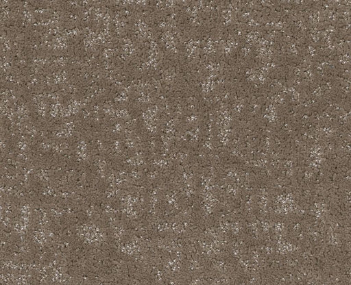 Going Home Cameo 00113