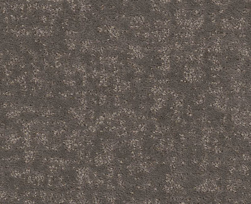 Going Home Ashes 00501