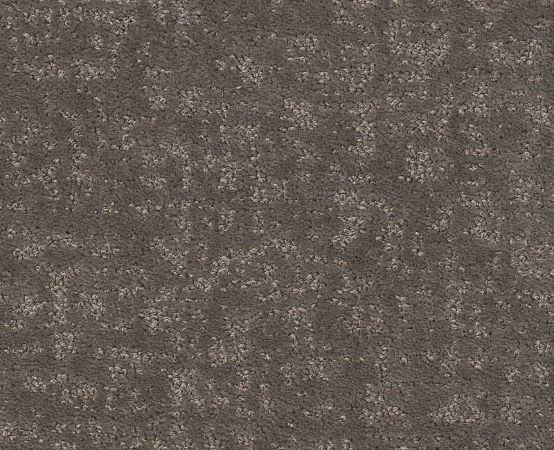 Going Home Ashes 00501