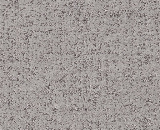 Going Home Lilac Gray 00550