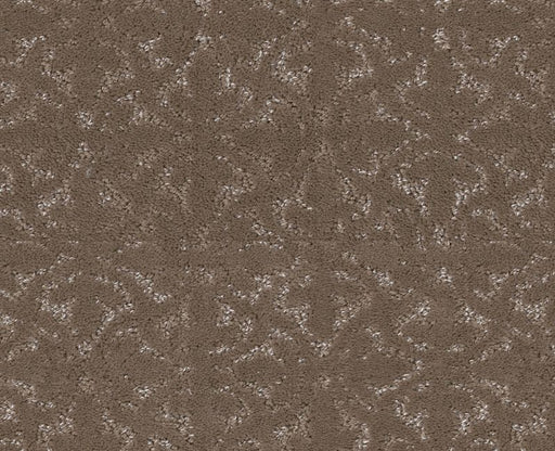 Light Humor Cameo 00113