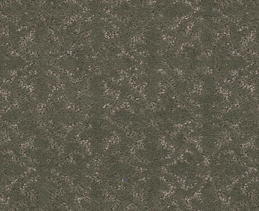 Light Humor Rerooted Nature 00300