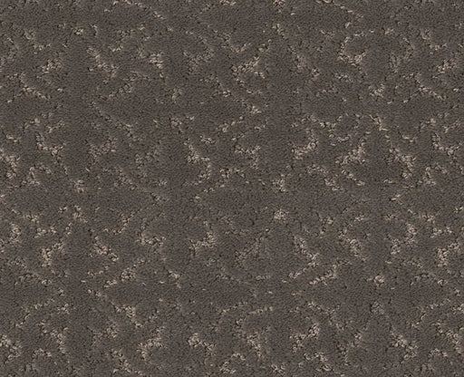 Light Humor Ashes 00501