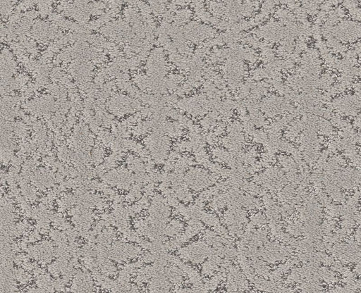 Light Humor Gravity 00556