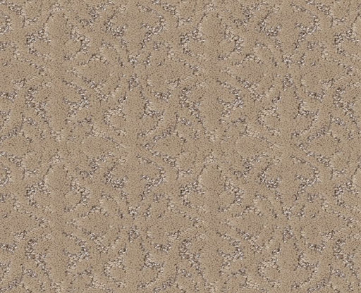 Light Humor Worn Path 00700