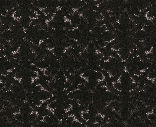 Light Humor Cafe Noir 00706