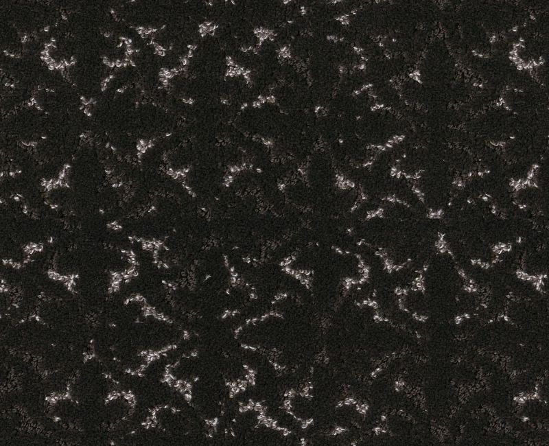 Light Humor Cafe Noir 00706