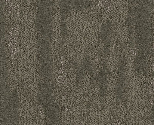 Moon Beam Rerooted Nature 00300